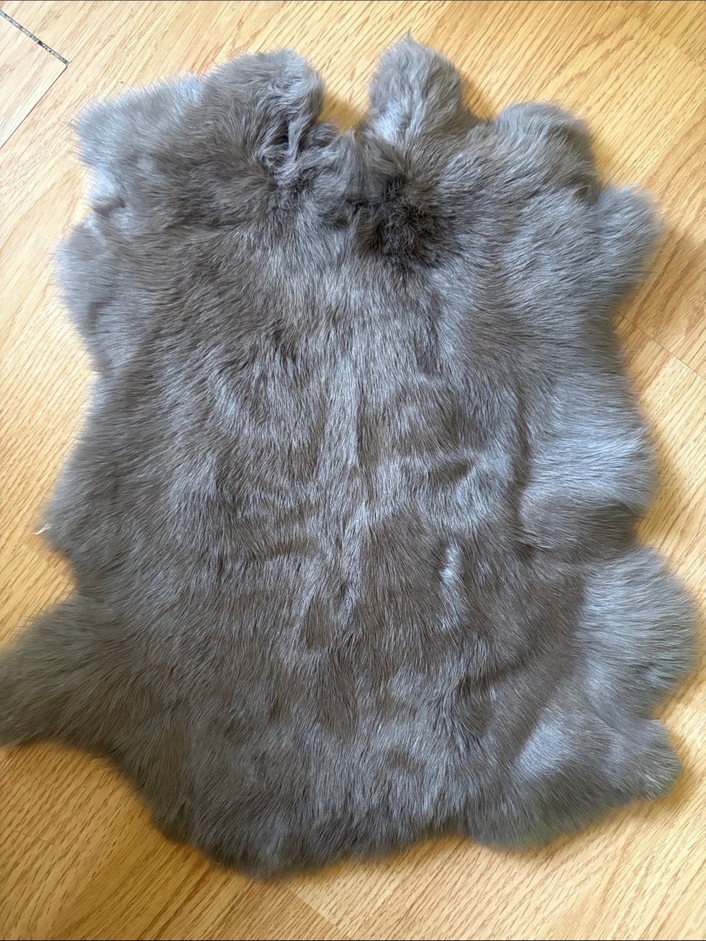 B0109 rabbit pelt